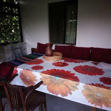 Ferienhaus *